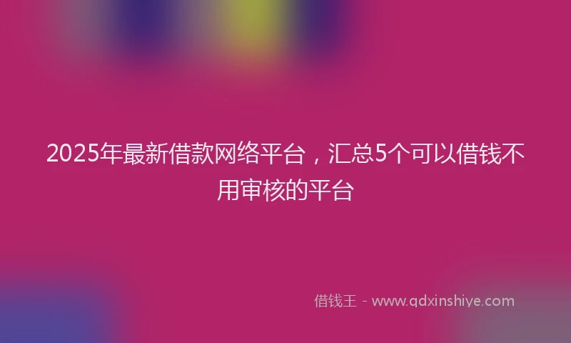 2025年最新借款网络平台，汇总5个可以借钱不用审核的平台