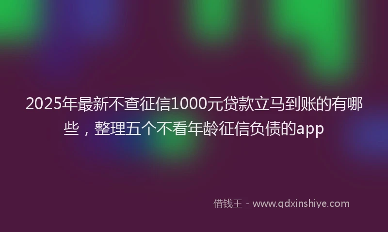 2025年最新不查征信1000元贷款立马到账的有哪些，整理五个不看年龄征信负债的app