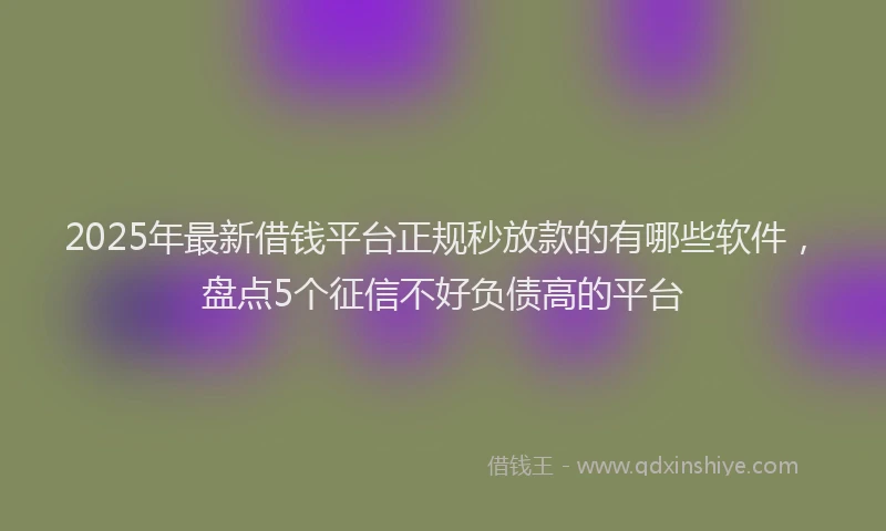 2025年最新借钱平台正规秒放款的有哪些软件，盘点5个征信不好负债高的平台