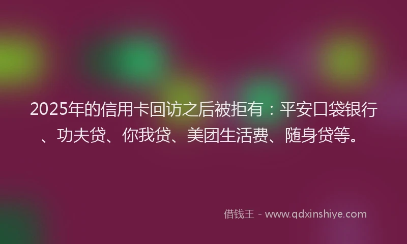 2025年的信用卡回访之后被拒有：平安口袋银行、功夫贷、你我贷、美团生活费、随身贷等。