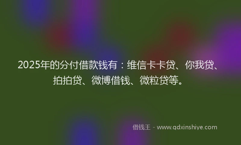 2025年的分付借款钱有：维信卡卡贷、你我贷、拍拍贷、微博借钱、微粒贷等。