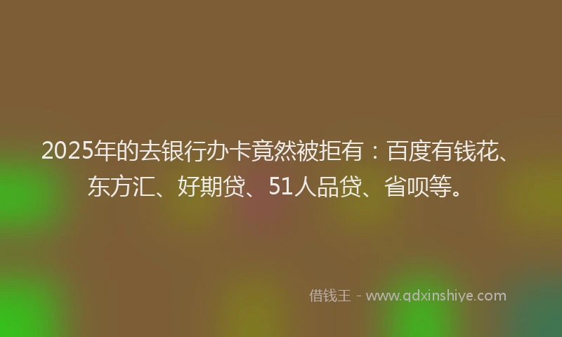 2025年的去银行办卡竟然被拒有：百度有钱花、东方汇、好期贷、51人品贷、省呗等。