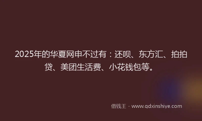 2025年的华夏网申不过有：还呗、东方汇、拍拍贷、美团生活费、小花钱包等。