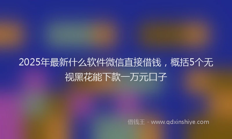 2025年最新什么软件微信直接借钱，概括5个无视黑花能下款一万元口子