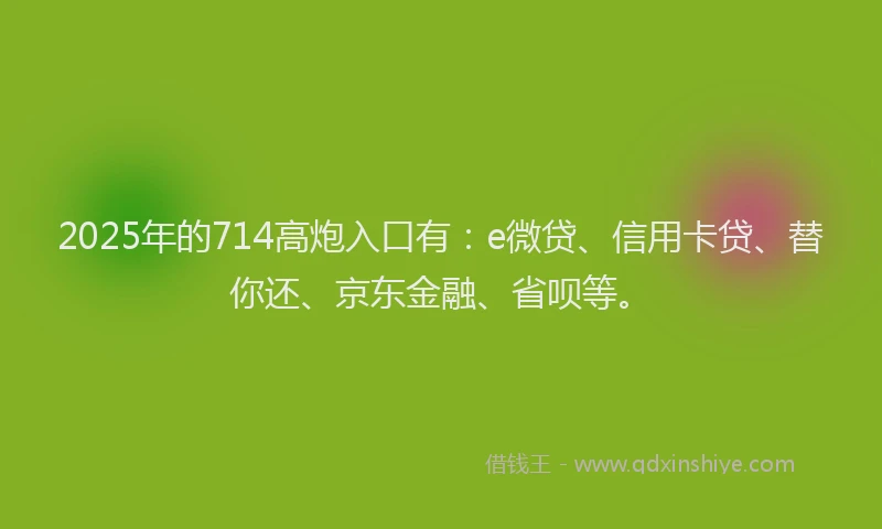 2025年的714高炮入口有：e微贷、信用卡贷、替你还、京东金融、省呗等。