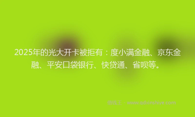 2025年的光大开卡被拒有：度小满金融、京东金融、平安口袋银行、快贷通、省呗等。