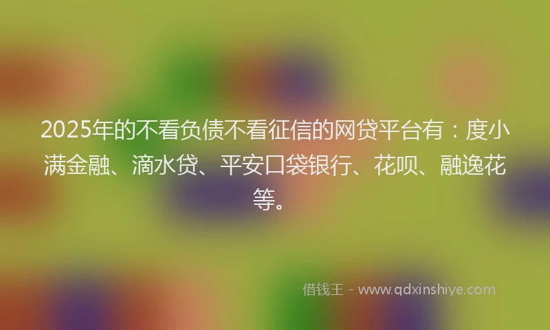 2025年的不看负债不看征信的网贷平台有：度小满金融、滴水贷、平安口袋银行、花呗、融逸花等。