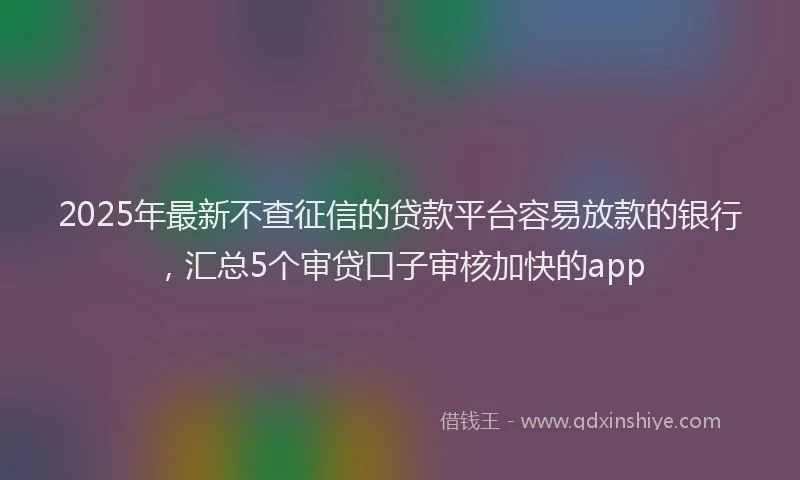2025年最新不查征信的贷款平台容易放款的银行，汇总5个审贷口子审核加快的app
