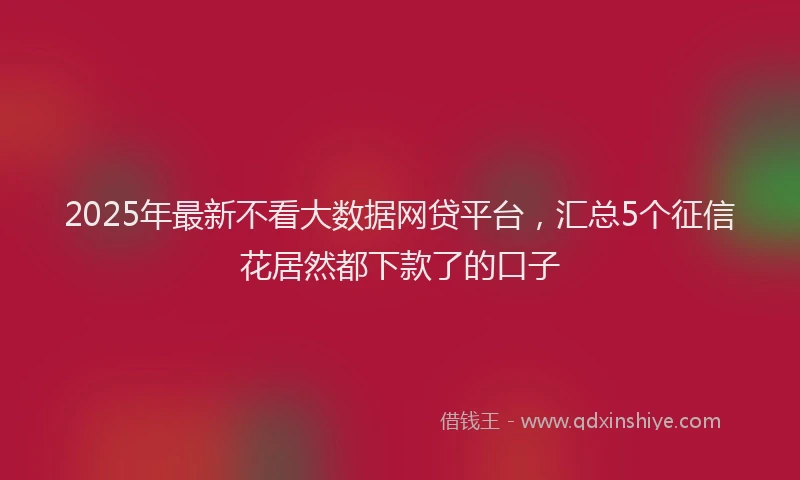 2025年最新不看大数据网贷平台，汇总5个征信花居然都下款了的口子