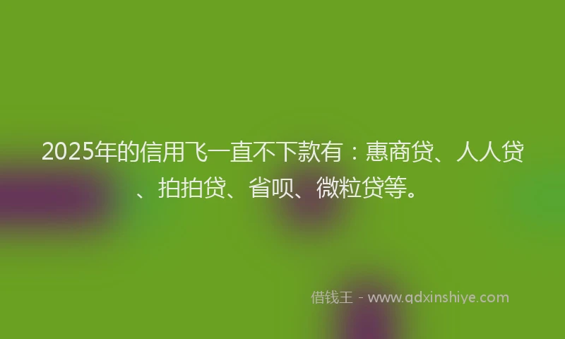 2025年的信用飞一直不下款有：惠商贷、人人贷、拍拍贷、省呗、微粒贷等。