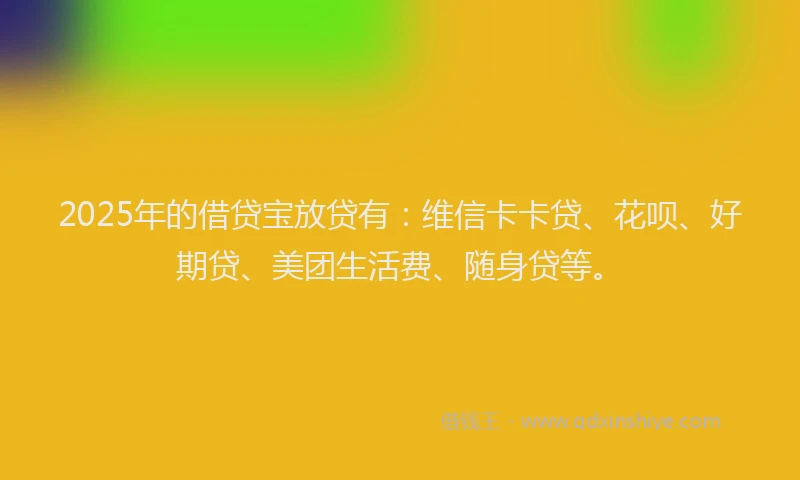 2025年的借贷宝放贷有：维信卡卡贷、花呗、好期贷、美团生活费、随身贷等。