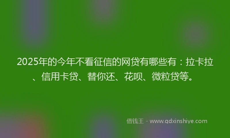 2025年的今年不看征信的网贷有哪些有：拉卡拉、信用卡贷、替你还、花呗、微粒贷等。