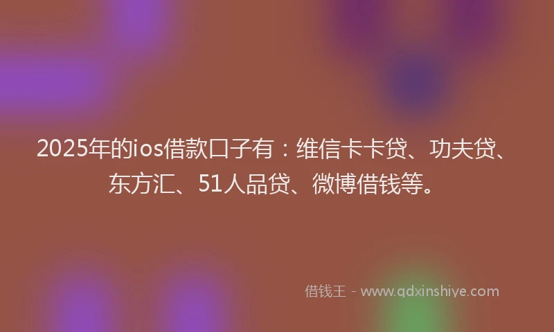 2025年的ios借款口子有：维信卡卡贷、功夫贷、东方汇、51人品贷、微博借钱等。