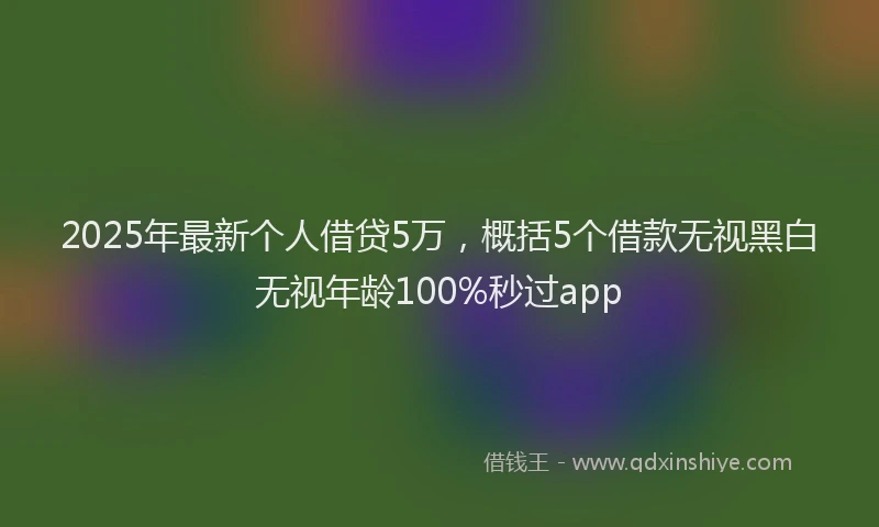 2025年最新个人借贷5万，概括5个借款无视黑白无视年龄100%秒过app