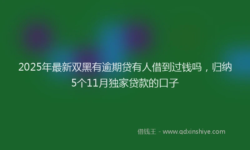 2025年最新双黑有逾期贷有人借到过钱吗，归纳5个11月独家贷款的口子