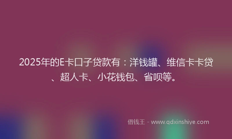 2025年的E卡口子贷款有：洋钱罐、维信卡卡贷、超人卡、小花钱包、省呗等。