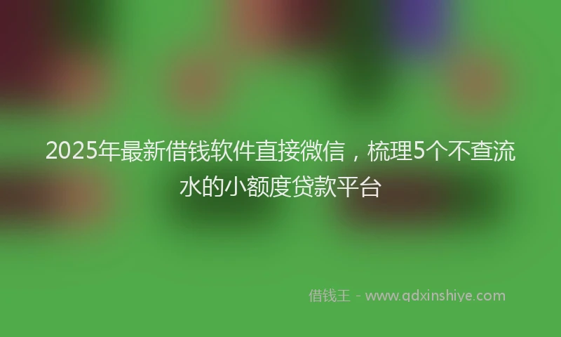 2025年最新借钱软件直接微信，梳理5个不查流水的小额度贷款平台