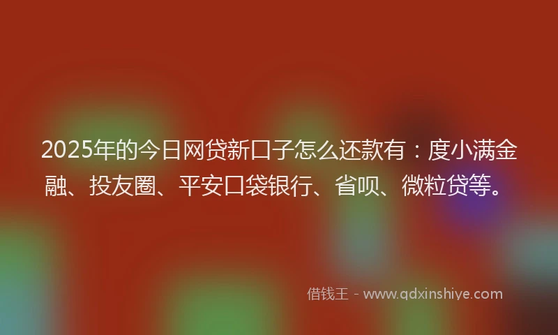2025年的今日网贷新口子怎么还款有：度小满金融、投友圈、平安口袋银行、省呗、微粒贷等。