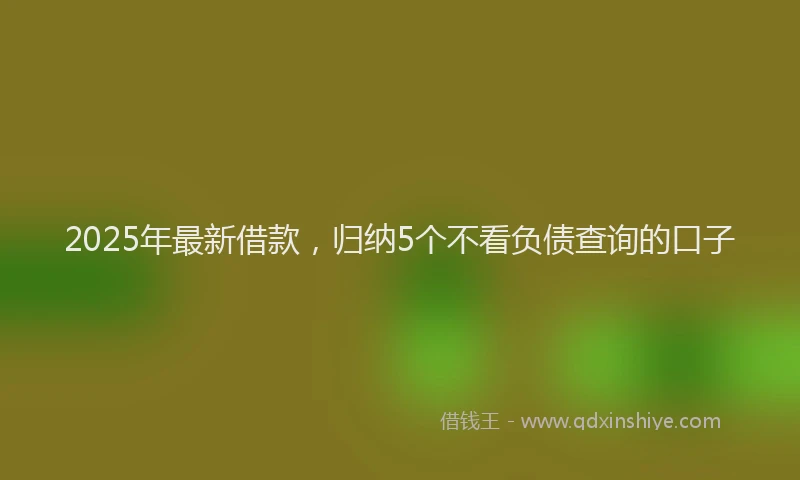 2025年最新借款，归纳5个不看负债查询的口子