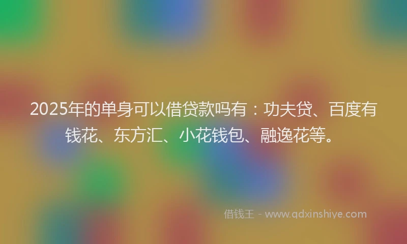 2025年的单身可以借贷款吗有：功夫贷、百度有钱花、东方汇、小花钱包、融逸花等。