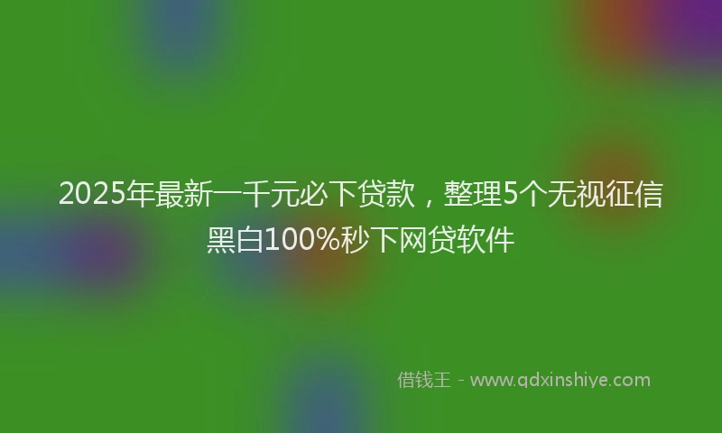 2025年最新一千元必下贷款，整理5个无视征信黑白100%秒下网贷软件