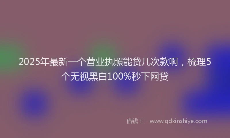 2025年最新一个营业执照能贷几次款啊，梳理5个无视黑白100%秒下网贷