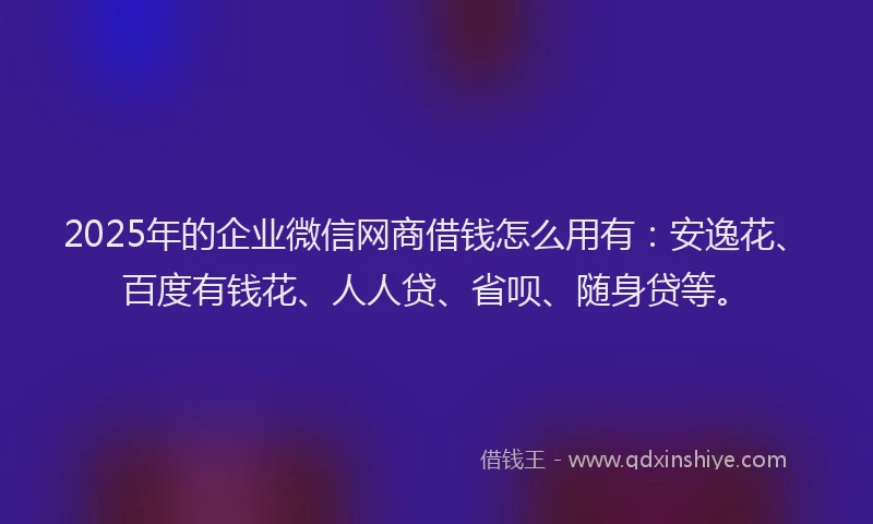 2025年的企业微信网商借钱怎么用有：安逸花、百度有钱花、人人贷、省呗、随身贷等。
