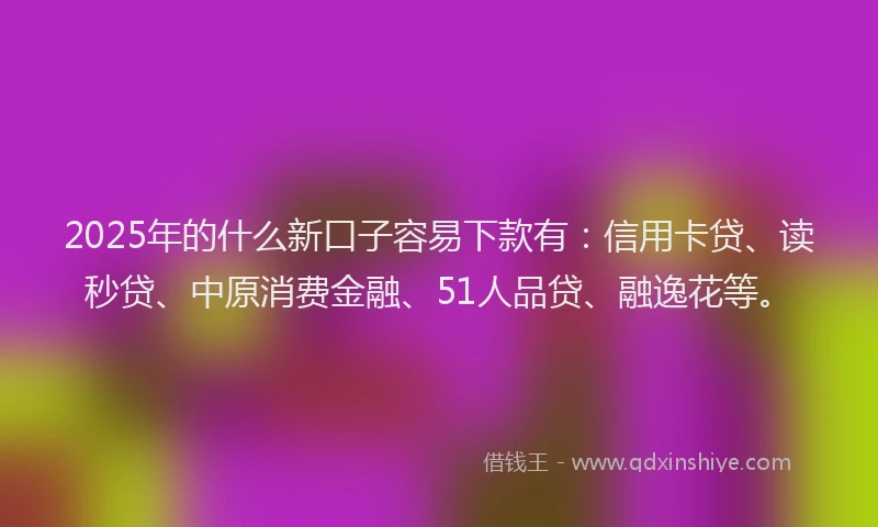 2025年的什么新口子容易下款有：信用卡贷、读秒贷、中原消费金融、51人品贷、融逸花等。