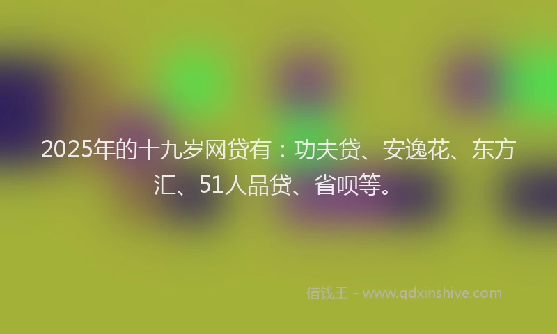 2025年的十九岁网贷有：功夫贷、安逸花、东方汇、51人品贷、省呗等。