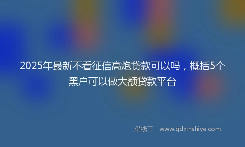 2025年最新不看征信高炮贷款可以吗，概括5个黑户可以做大额贷款平台