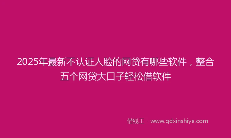 2025年最新不认证人脸的网贷有哪些软件，整合五个网贷大口子轻松借软件