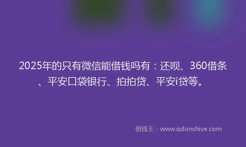 2025年的只有微信能借钱吗有：还呗、360借条、平安口袋银行、拍拍贷、平安i贷等。