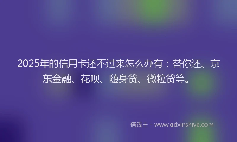 2025年的信用卡还不过来怎么办有：替你还、京东金融、花呗、随身贷、微粒贷等。
