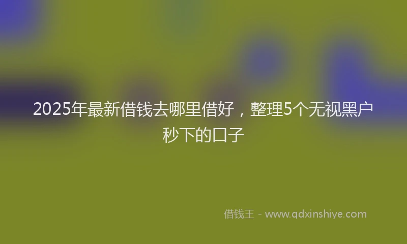 2025年最新借钱去哪里借好，整理5个无视黑户秒下的口子