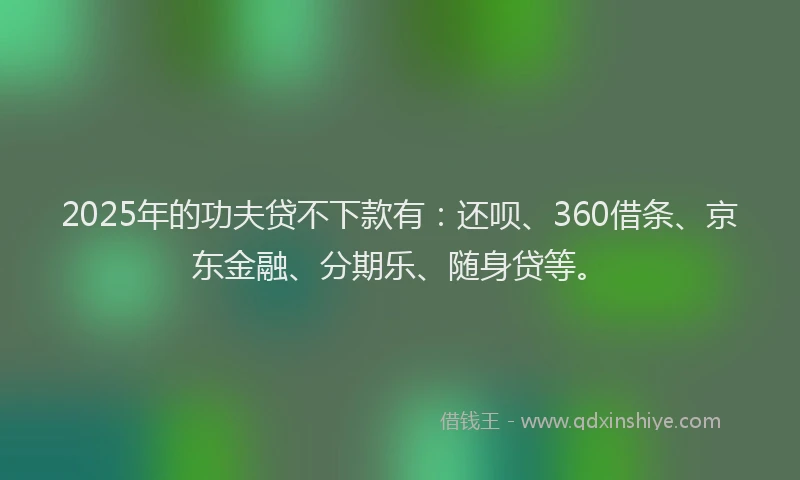 2025年的功夫贷不下款有：还呗、360借条、京东金融、分期乐、随身贷等。