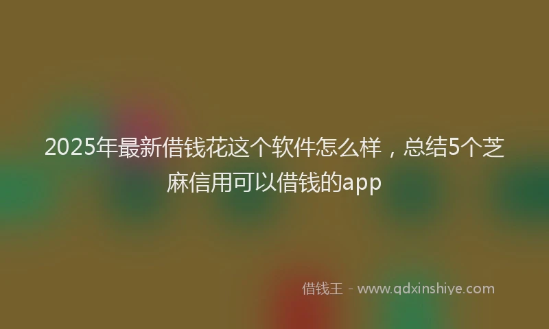 2025年最新借钱花这个软件怎么样，总结5个芝麻信用可以借钱的app