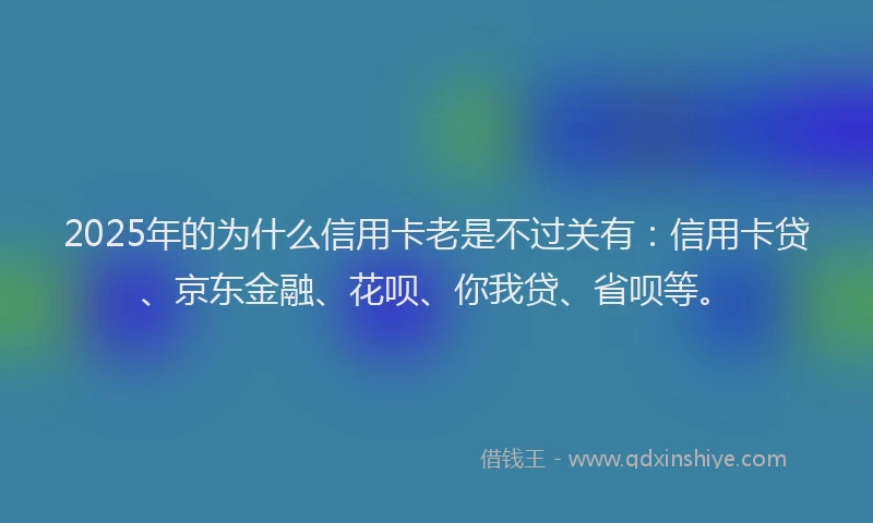 2025年的为什么信用卡老是不过关有：信用卡贷、京东金融、花呗、你我贷、省呗等。