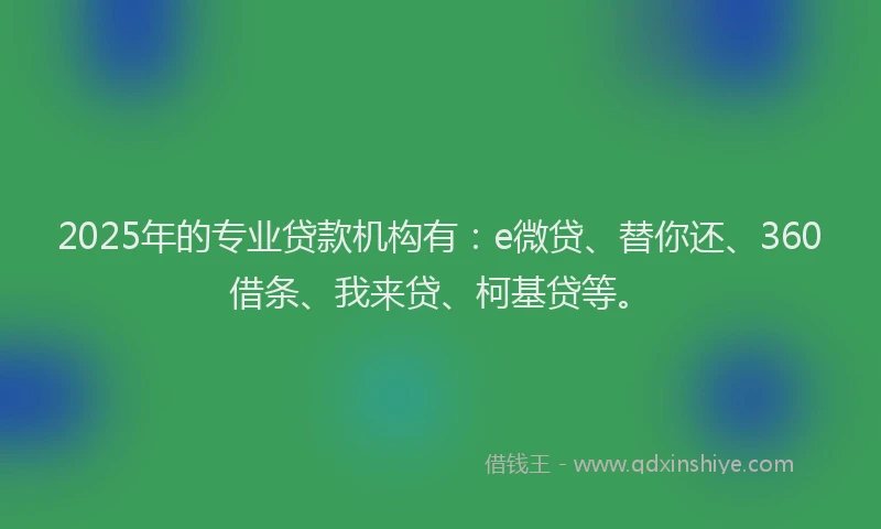 2025年的专业贷款机构有：e微贷、替你还、360借条、我来贷、柯基贷等。