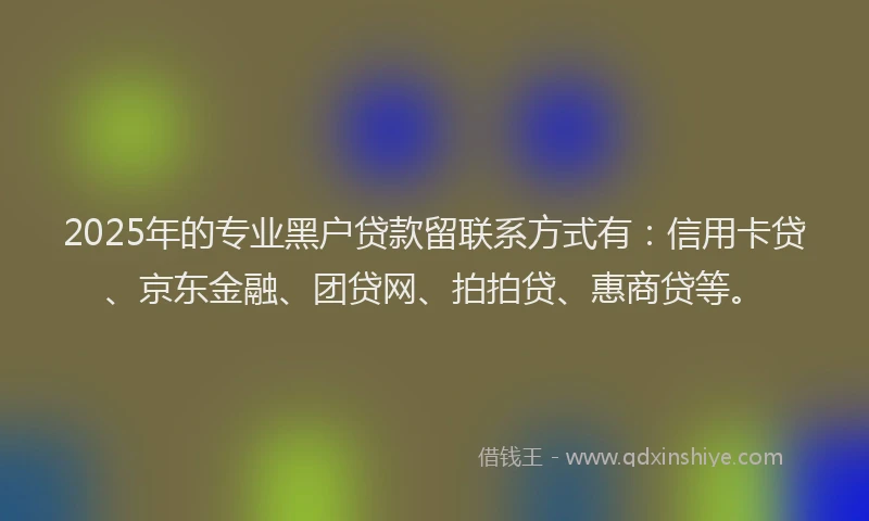 2025年的专业黑户贷款留联系方式有：信用卡贷、京东金融、团贷网、拍拍贷、惠商贷等。