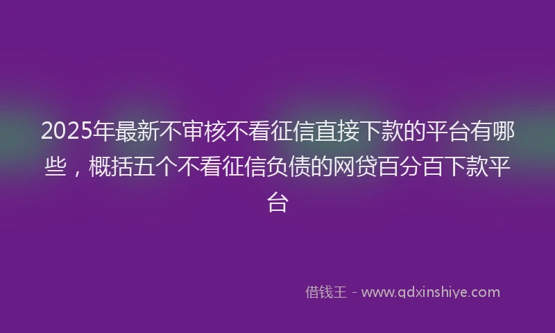 2025年最新不审核不看征信直接下款的平台有哪些，概括五个不看征信负债的网贷百分百下款平台