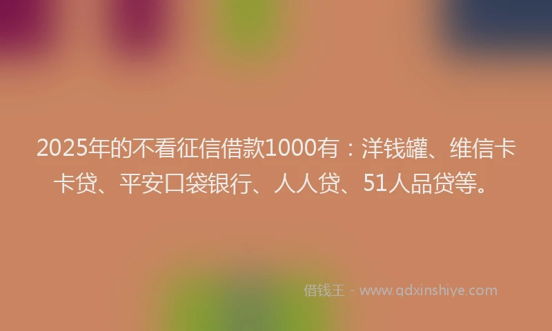 2025年的不看征信借款1000有：洋钱罐、维信卡卡贷、平安口袋银行、人人贷、51人品贷等。