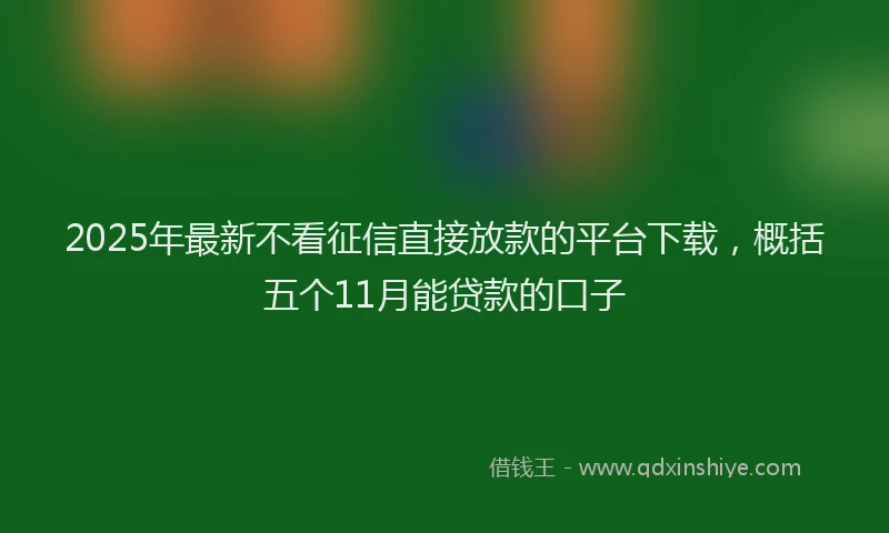 2025年最新不看征信直接放款的平台下载，概括五个11月能贷款的口子