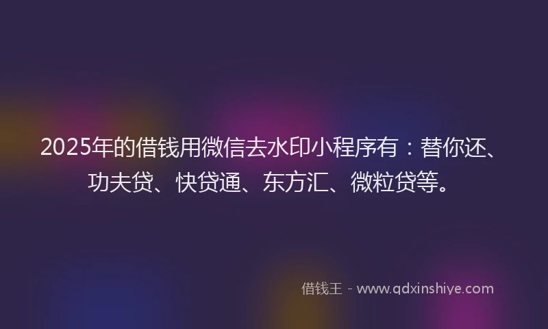 2025年的借钱用微信去水印小程序有：替你还、功夫贷、快贷通、东方汇、微粒贷等。