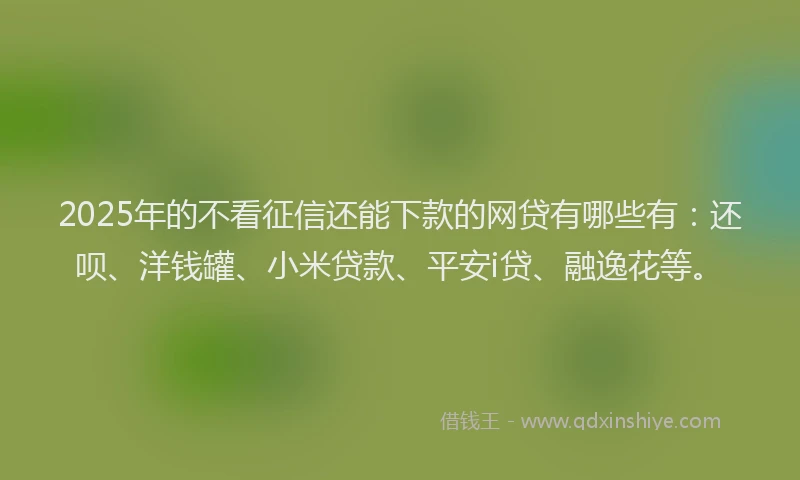 2025年的不看征信还能下款的网贷有哪些有：还呗、洋钱罐、小米贷款、平安i贷、融逸花等。