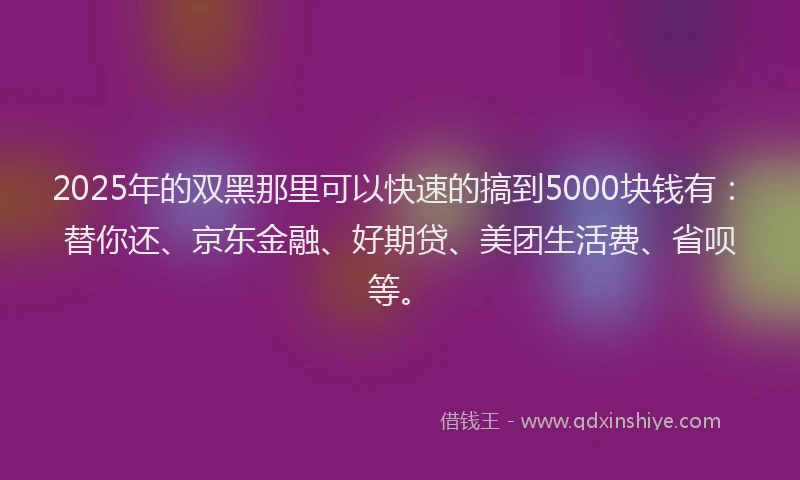 2025年的双黑那里可以快速的搞到5000块钱有：替你还、京东金融、好期贷、美团生活费、省呗等。