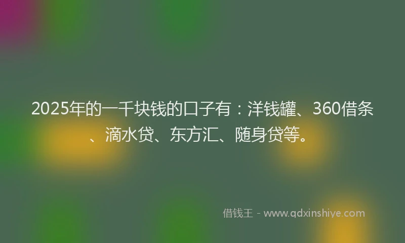 2025年的一千块钱的口子有：洋钱罐、360借条、滴水贷、东方汇、随身贷等。
