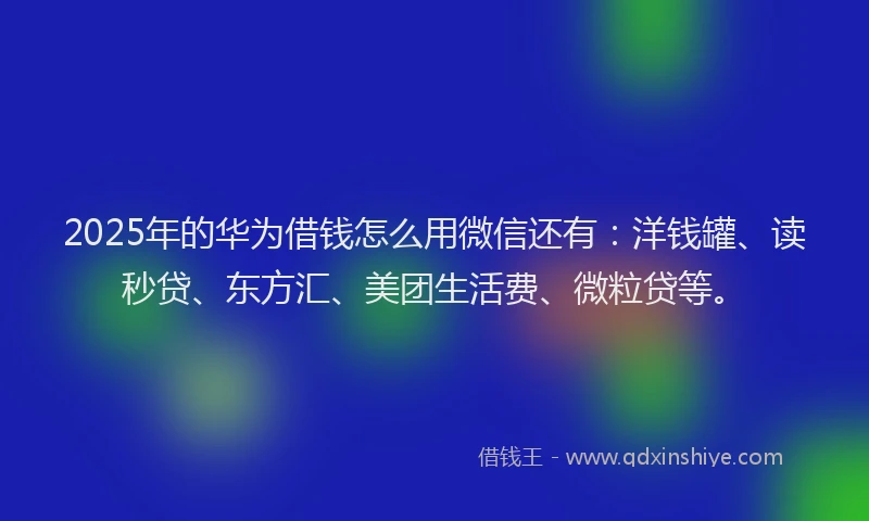 2025年的华为借钱怎么用微信还有：洋钱罐、读秒贷、东方汇、美团生活费、微粒贷等。