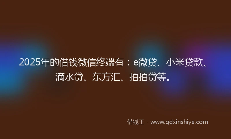 2025年的借钱微信终端有：e微贷、小米贷款、滴水贷、东方汇、拍拍贷等。