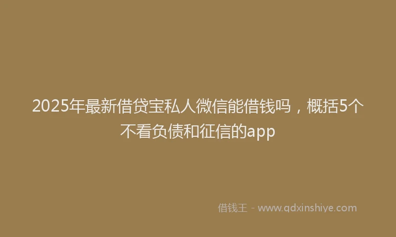 2025年最新借贷宝私人微信能借钱吗，概括5个不看负债和征信的app