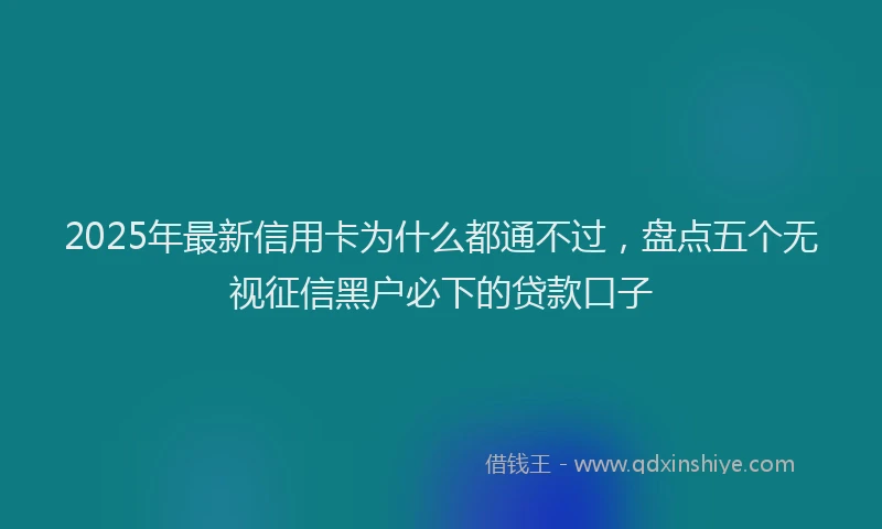 2025年最新信用卡为什么都通不过，盘点五个无视征信黑户必下的贷款口子